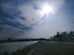 -春花秋色城市公园