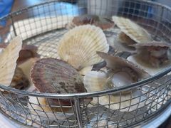 -海味当家·蒸锅海鲜(星海公园店)