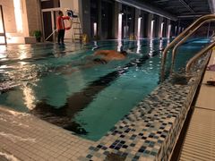 -上海浦东康桥绿地假日酒店