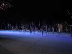 -青池