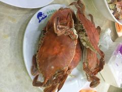春华海鲜城-春华海鲜城(广场西苑店)