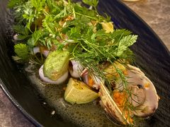 -Hi City·城市之巅