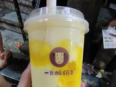 -一只酸奶牛(八一路店)