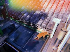 -EATALIA意塔利意式餐厅(鼓楼店)