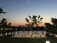 随处一景-明珠湖天鹅苑·农家菜馆