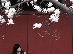 -万寿八仙宫