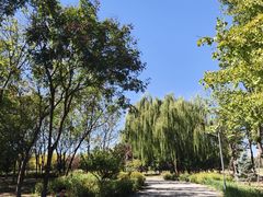 -永定河休闲森林公园