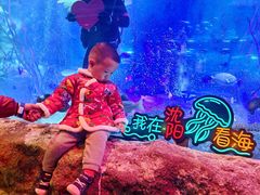 -沈阳海洋探索中心