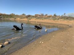 -亿利库布其七星湖沙漠生态旅游区