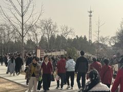 -赵州桥景区