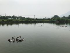 -英姐农家乐