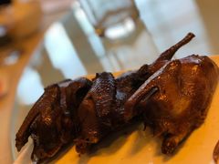 -食家鸽园