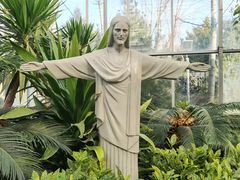 -南宫五洲植物乐园