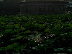 -二一九公园
