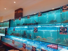 -南海渔家•海鲜•正宗海南菜(海棠湾店)