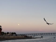 -星海广场