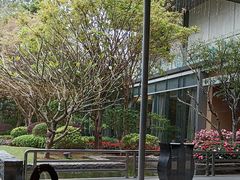 -南宁荔园维景国际酒店·荔园中餐厅