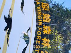 -西双版纳原始森林公园