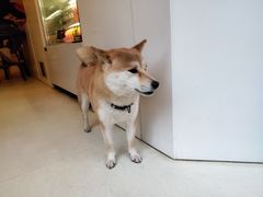 -餐酒吧Com-ing Bar(上海路店)
