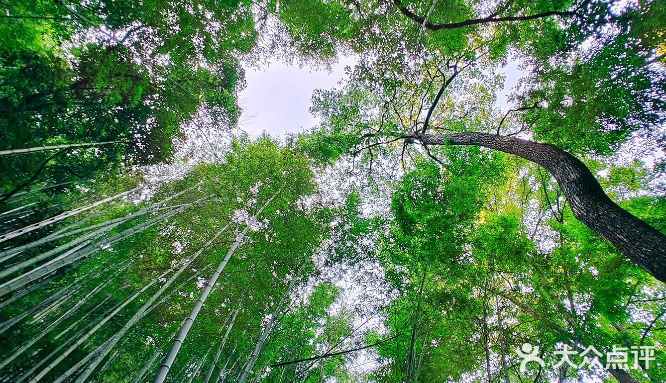夏季避暑采风|富春江&严子陵钓台|杭州