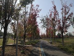 -白鹭湾湿地公园