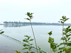 -东湖磨山景区