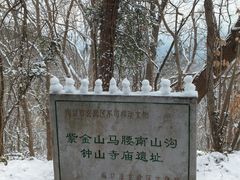 -紫金山山顶公园