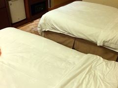 -峨眉山世纪阳光大酒店(峨眉高铁站店)