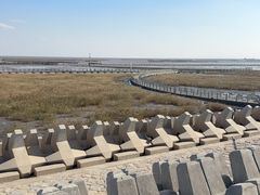 -南汇嘴观海公园