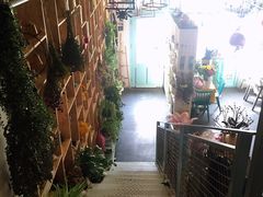 -Kitchen·Y洋厨房西餐厅(王府壹号店)