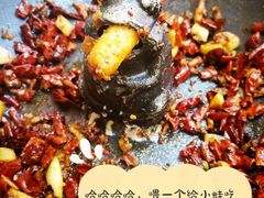 -靓蛙馆
