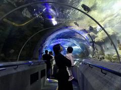 -大连圣亚海洋世界