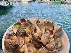-蓝湾碧波·老字号·疍家非遗海上餐厅