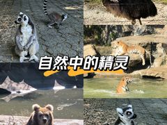 -宁波野生动物园