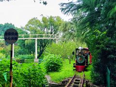 -上海共青森林公园