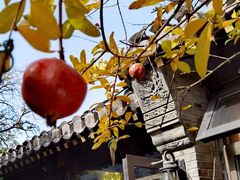 -北京国子监胡同