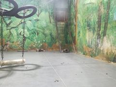 -西安秦岭野生动物园