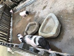 -幽岚山·童话森林
