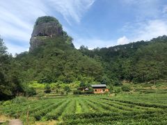 -九曲溪竹筏码头