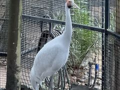 -费瑟代尔野生动物园