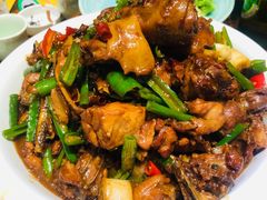 -俏东方·海味水饺·青岛菜(崂山店)
