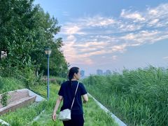 -天津东丽湖风景区