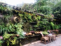 -青城甲(青城山店)