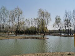 -东郊湿地公园