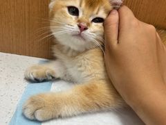 -联合动物医院(光谷诊疗中心)