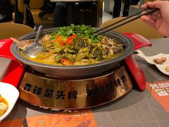 -探炉·香辣豆花烤鱼(笋岗宝能环球汇店)