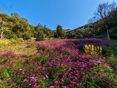 -金鸡山公园