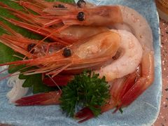 -元气寿司(环球港店)