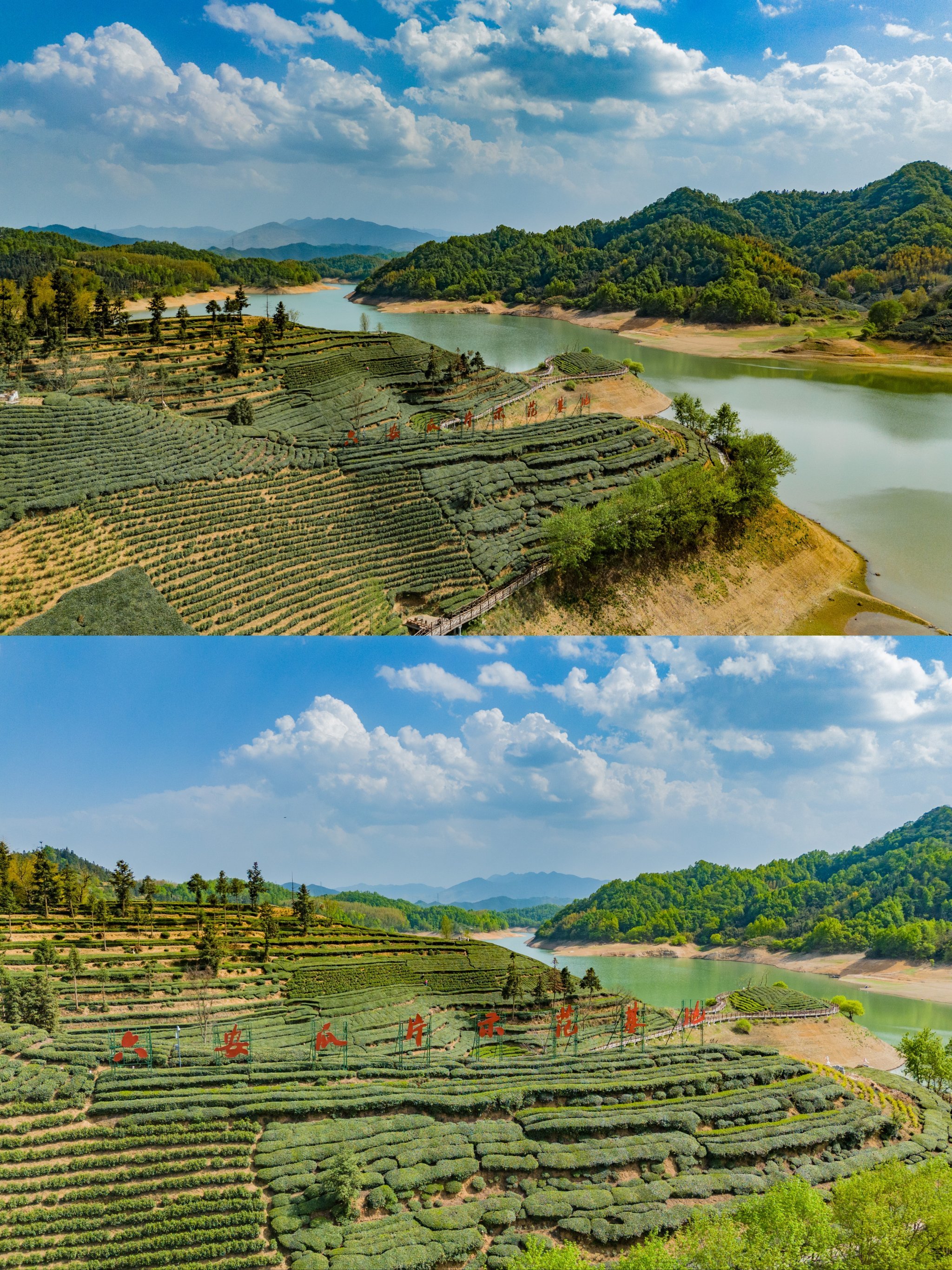 天气预报金寨预报