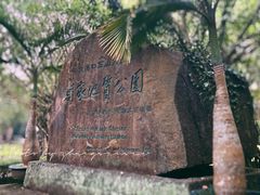 -海口火山口国家地质公园